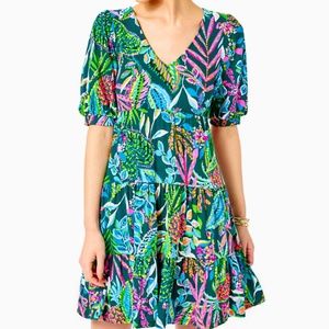 Lilly Pulitzer Chiara Tiered Dress Size XS NWT